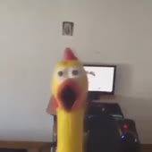 360x360