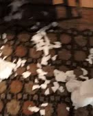 240x300