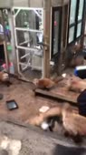 360x640