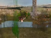 480x360