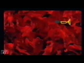 640x480
