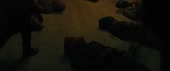 720x304