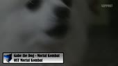 640x360