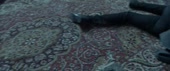 720x304