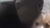 400x226