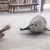 360x360