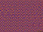 811x608