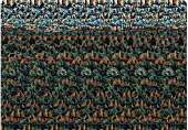 1000x696