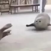 360x360