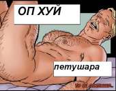494x387
