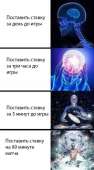 437x790