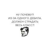 519x491