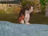 480x360