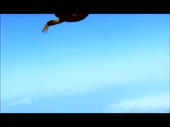 480x360