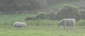 400x170