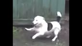 640x360