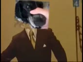 480x360