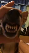 406x720