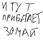 500x500