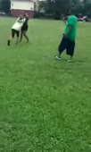 384x640