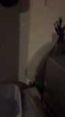720x1280