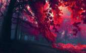 2560x1600