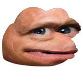 480x480