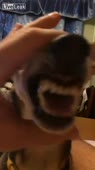 406x720