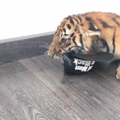 360x360