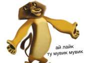 500x375