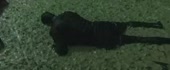 640x265