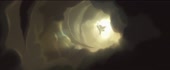 1920x800
