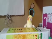 960x720