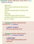 532x691