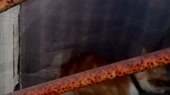 640x360