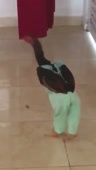 720x1272