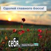 500x500