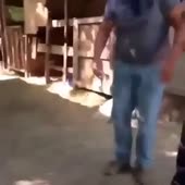 360x360