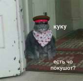 480x470