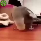 360x360