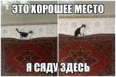 700x466