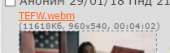209x66