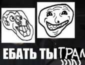 481x369