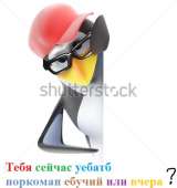 452x478