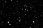 500x330