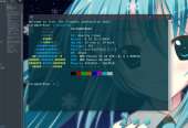 970x666