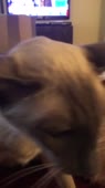 360x640