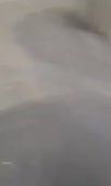 360x600
