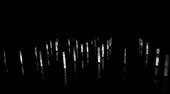 500x278
