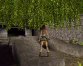 598x480